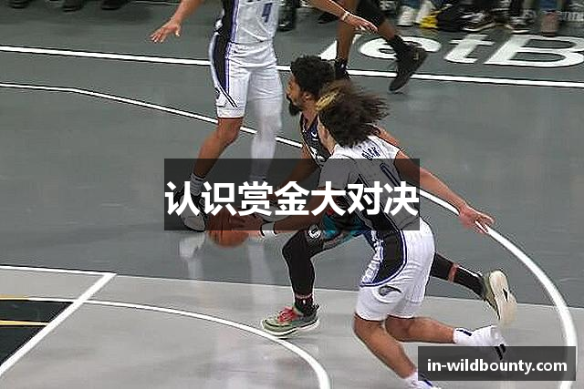 认识赏金大对决